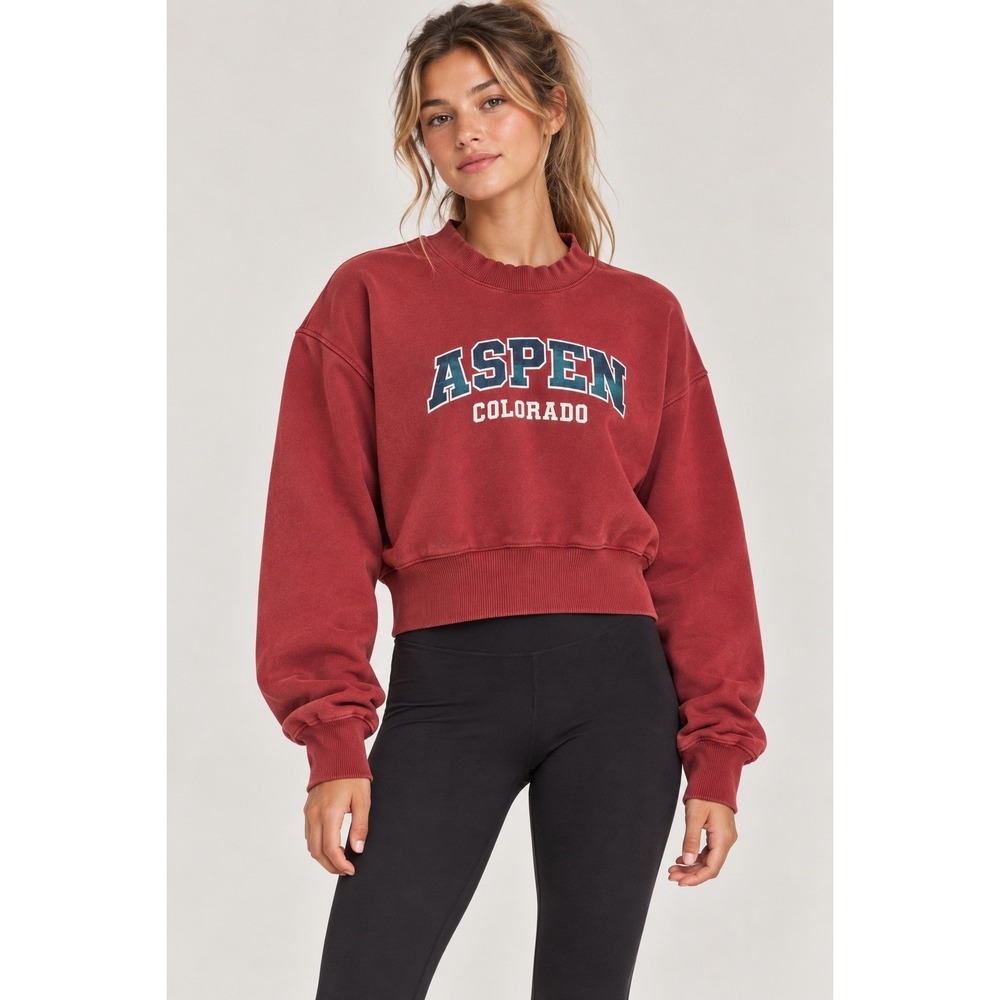 Aspen Red Plaid Graphic Sweatshirt, Small